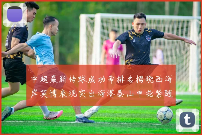 中超最新传球成功率排名揭晓西海岸英博表现突出海港泰山申花紧随其后