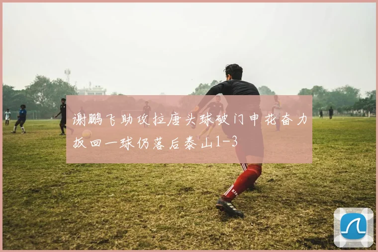 谢鹏飞助攻拉唐头球破门申花奋力扳回一球仍落后泰山1-3
